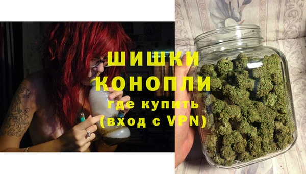 spice Арсеньев