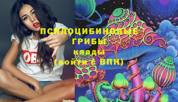 spice Арсеньев