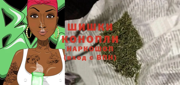 spice Арсеньев