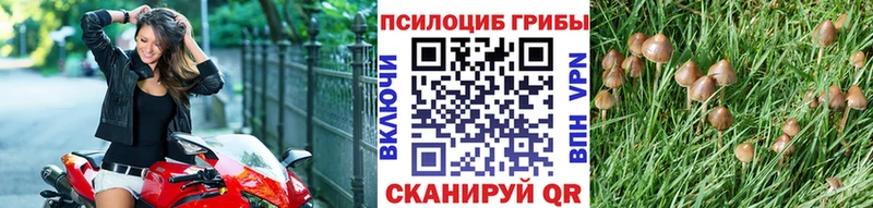 Псилоцибиновые грибы MAGIC MUSHROOMS Бабаево
