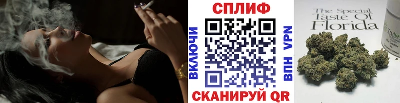 купить наркотики сайты  Бабаево  Бошки Шишки тримм 
